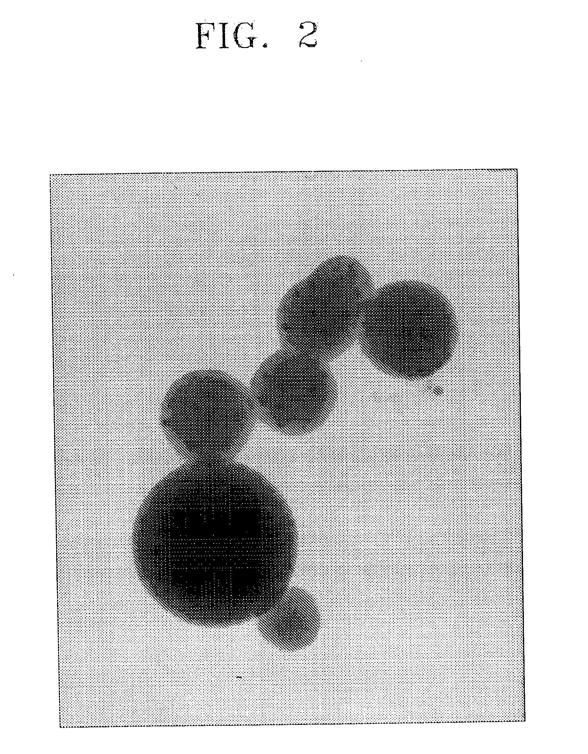 Semiconductor nanoparticle-encapsulating vinyl polymer, vinyl polymer mixture including same, and process of preparing the same