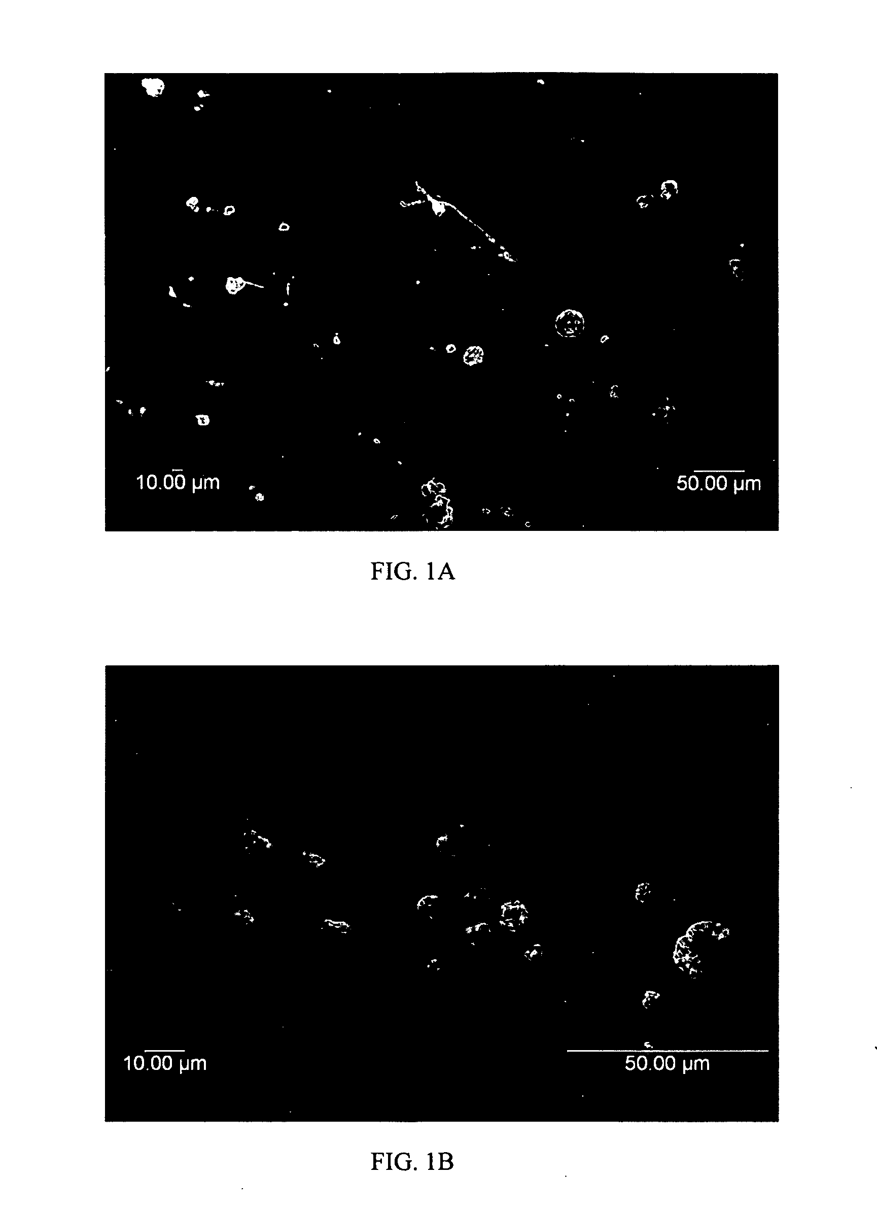 Method to improve characteristics of spray dried powders and granulated materials, and the products thereby produced