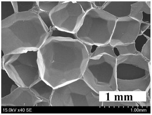 Method for preparing foam material by microwave hydrogel foaming