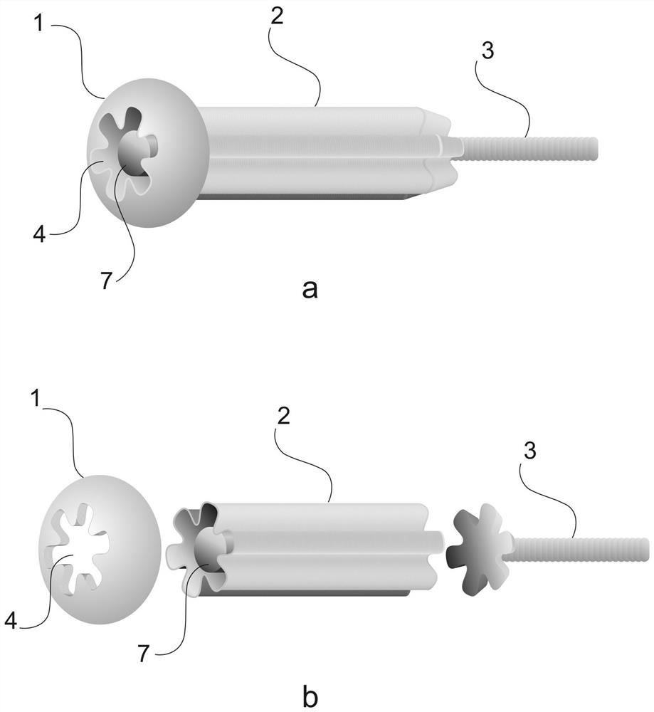 Volume-adaptive fluid collection and storage container