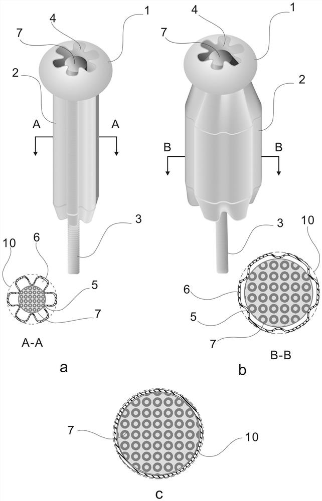 Volume-adaptive fluid collection and storage container