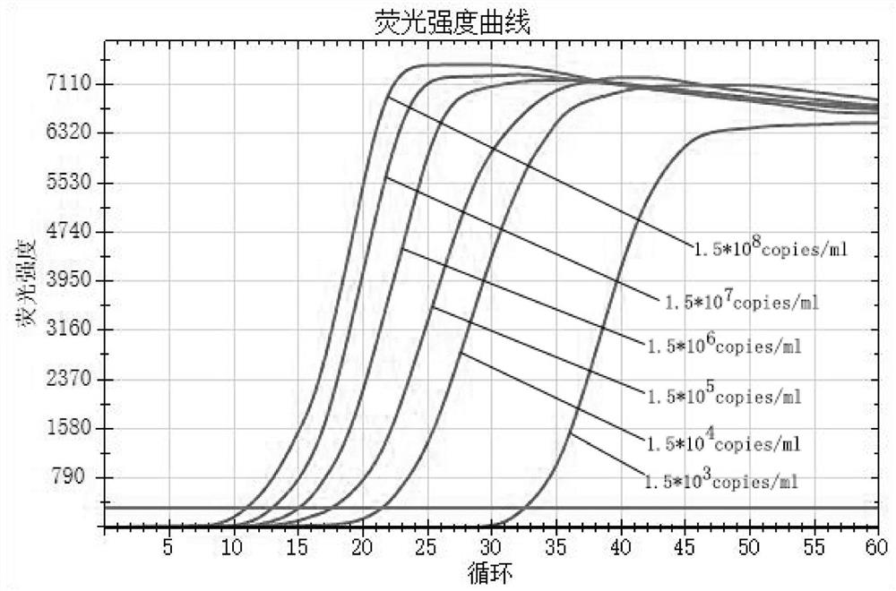 Degenerate primer group, kit and method for LAMP detection of prawn white spot syndrome virus