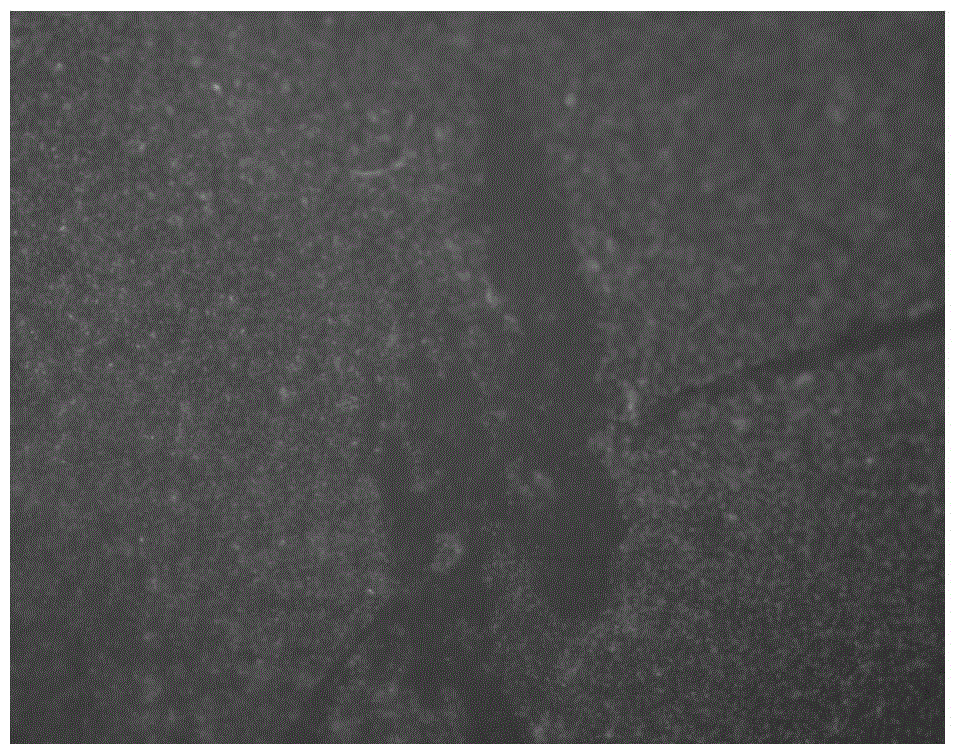 A method to prevent marine microbial corrosion by using artificial ultra-smooth surfaces