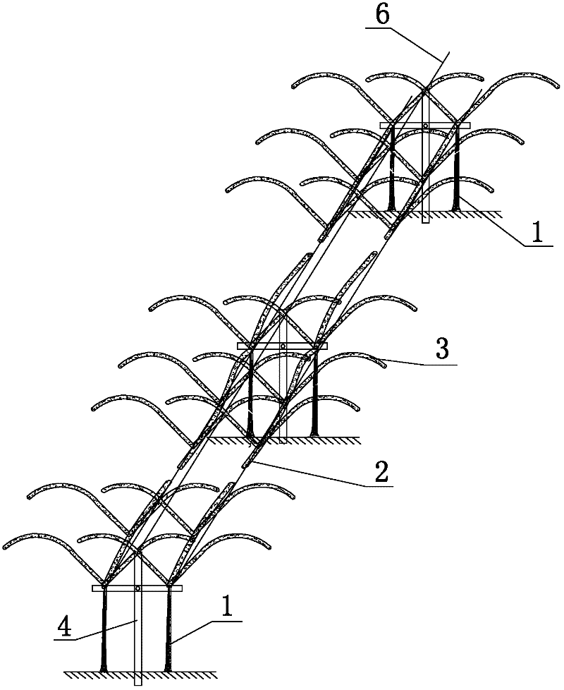 Grape cultivation arrangement and cultivation method