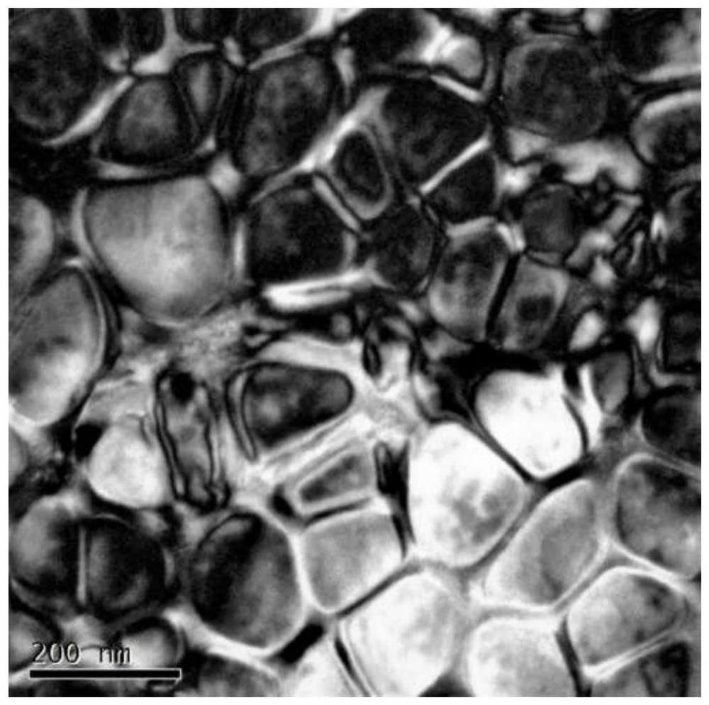 NiCoCr-containing medium/high-entropy alloy with non-equal atomic ratio and preparation method thereof