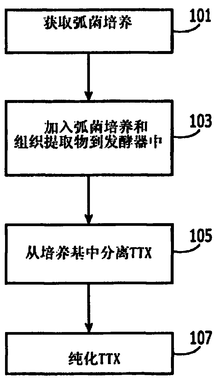 Method of biosynthesizing tetrodotoxin