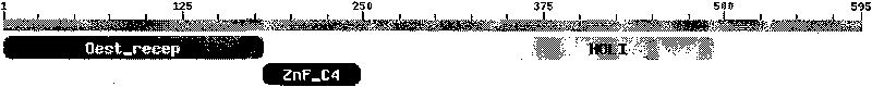 Dihydrobenzopyrans ketone compound and uses thereof