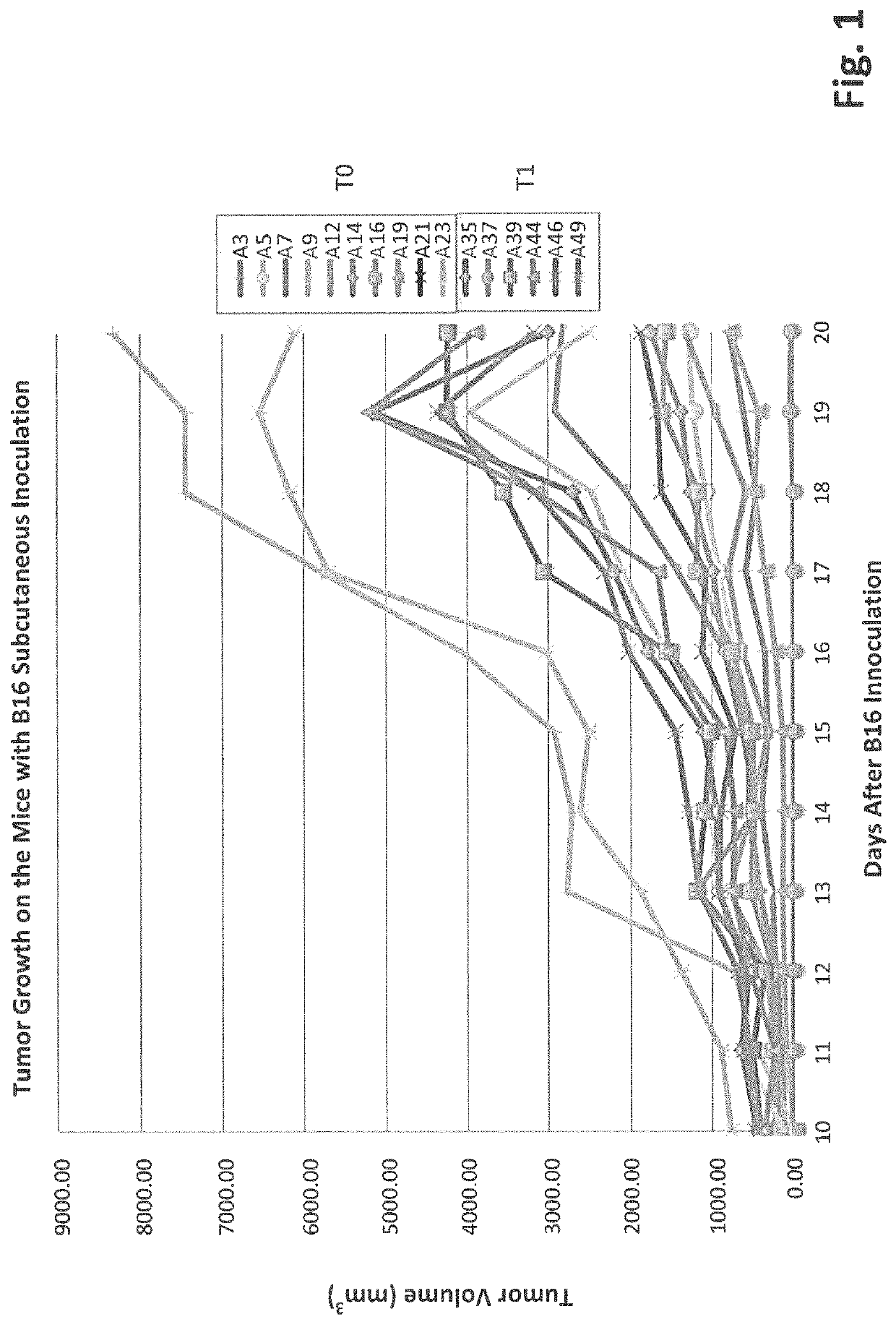 Anti-cancer oncolytic virus combination therapies and elite responder selection platforms