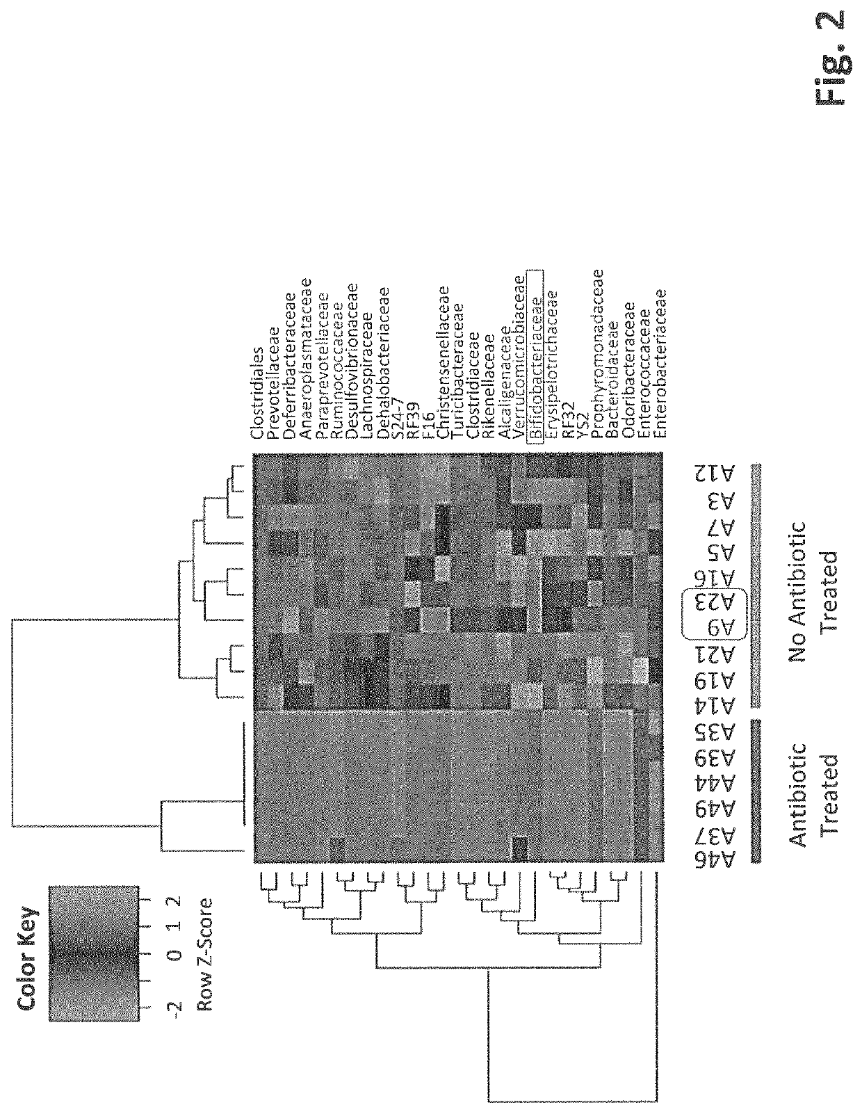 Anti-cancer oncolytic virus combination therapies and elite responder selection platforms