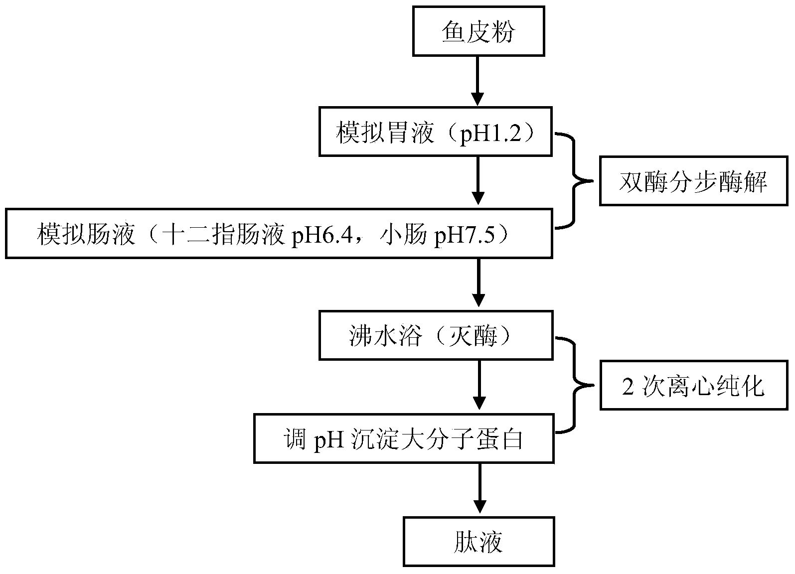 Method for preparing navodon septentrionalis skin anti-oxidative peptide liquid through in vitro simulation of gastrointestinal digestion