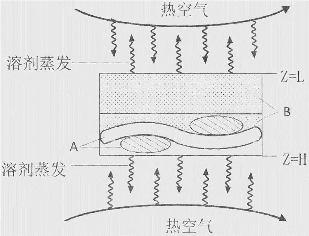 Numerical simulation method for solvent diffusion process in curing process of coated textile material