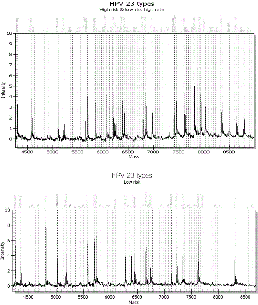 Method for flexibly detecting human papilloma virus genotypes in broad spectrum