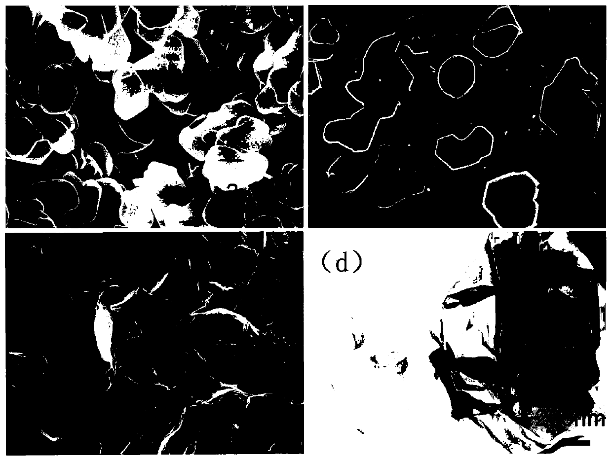 Modified zirconium phosphate-epoxy nanometer composite material and preparation method thereof