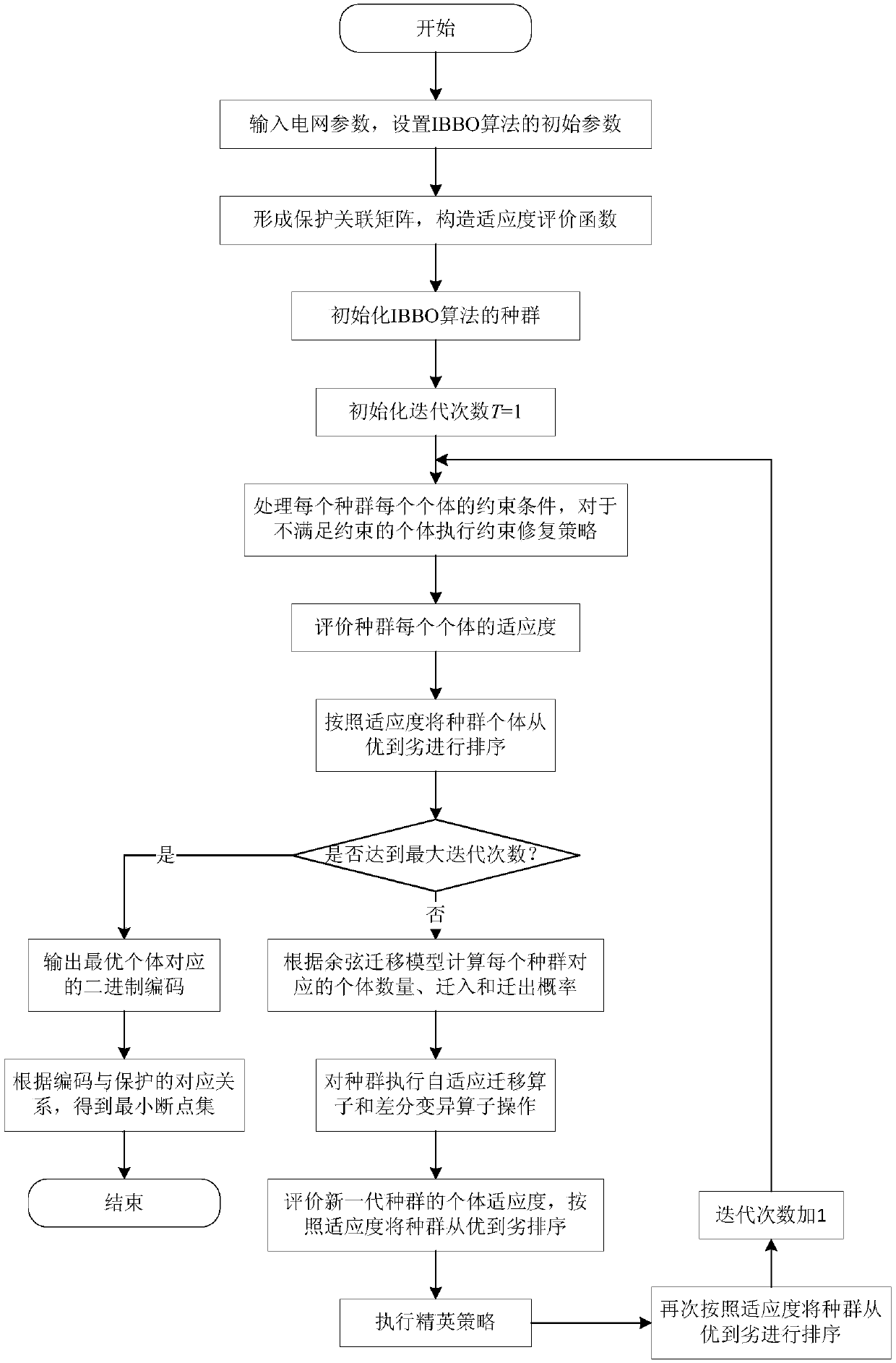 IBBO based complex looped network directional protection MBPS solving method