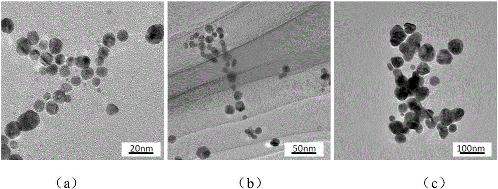 Application of polyvinyl alcohol composite hydrogel in Raman spectrum for detecting rhodamine