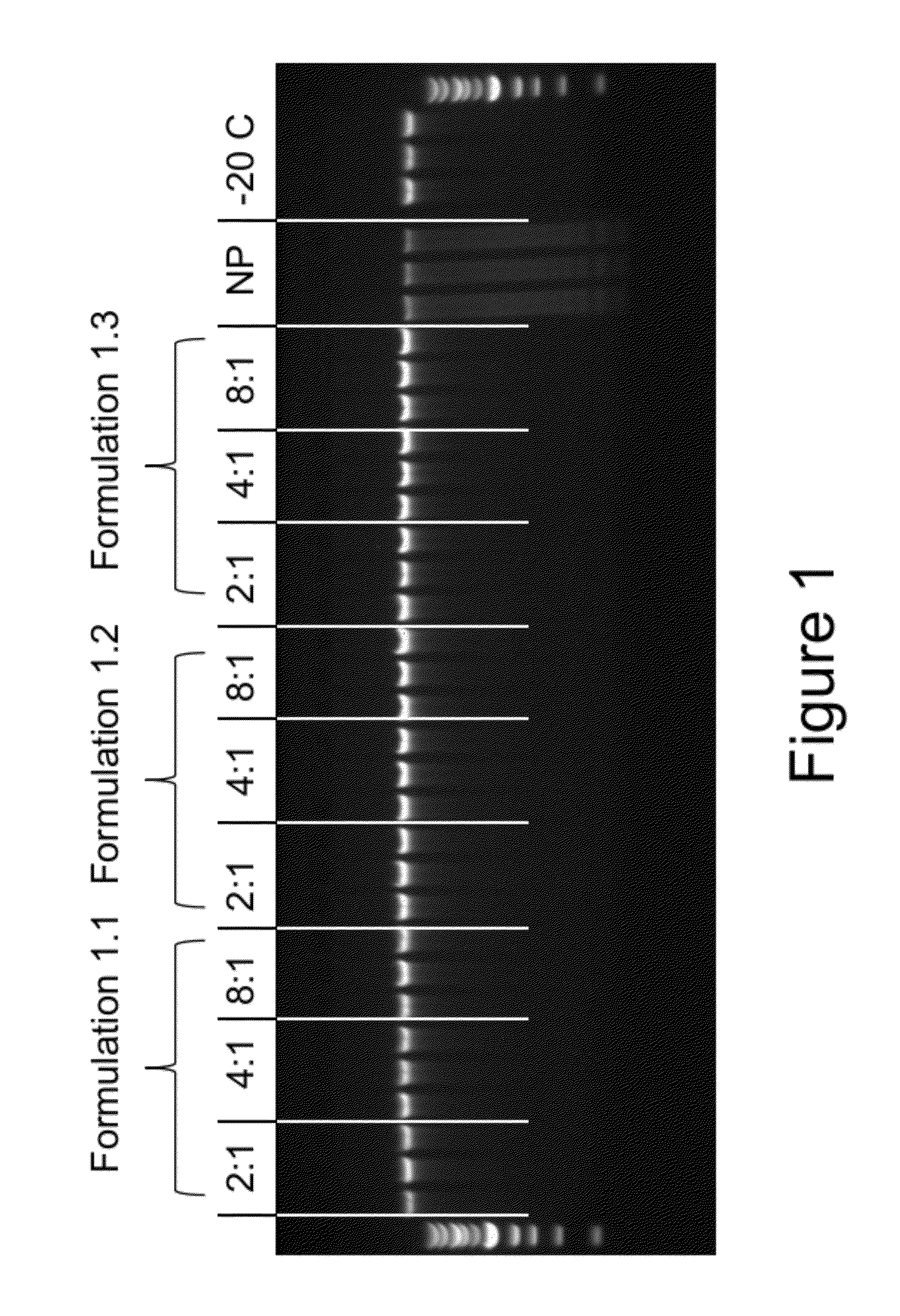 Compositions for stabilizing dna, RNA and proteins in blood and other biological samples during shipping and storage at ambient temperatures