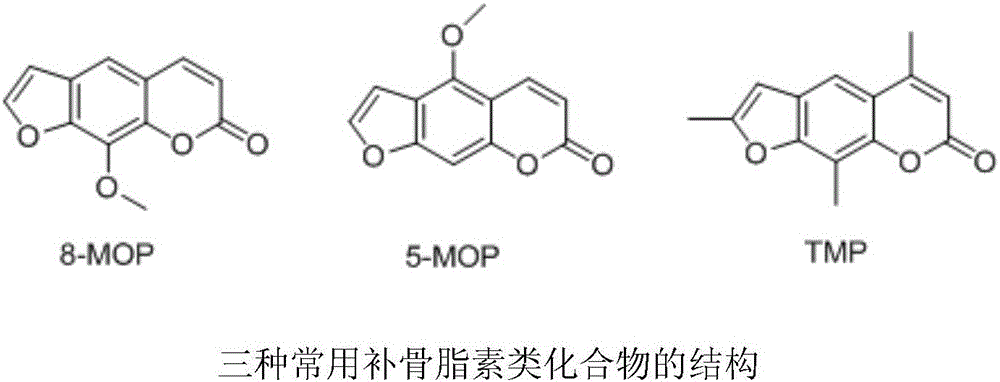 Psoralen ester derivatives and applications thereof