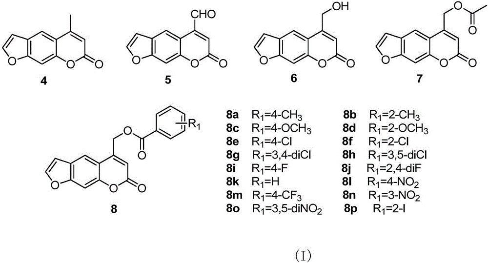 Psoralen ester derivatives and applications thereof