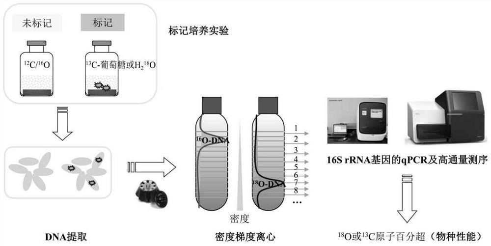 Quantitative method of microbial environmental change response force