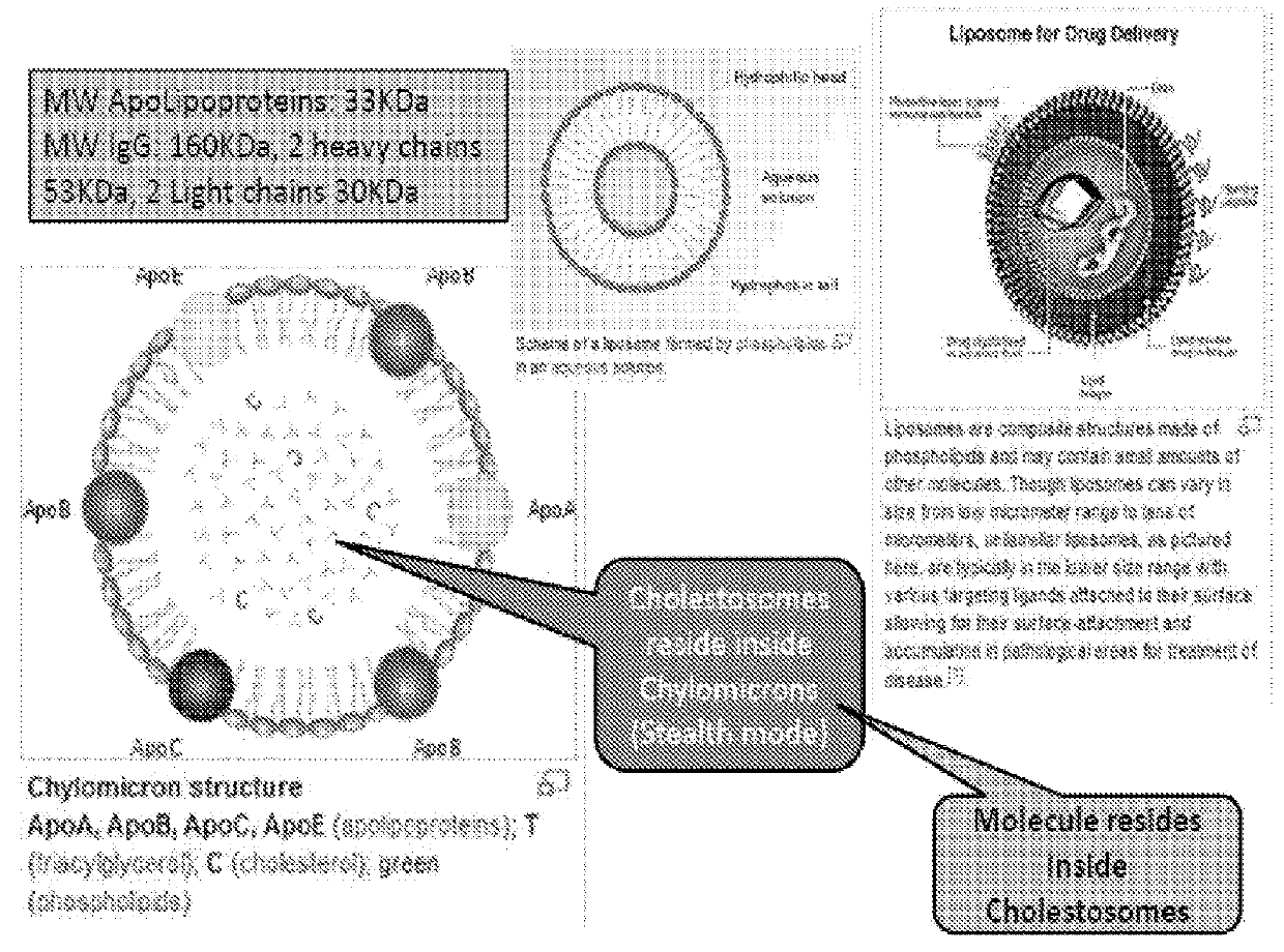 Cholestosome vesicles for incorporation of molecules into chylomicrons