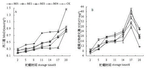 Novel method and protective film agent for preventing and controlling soft rot of actinidia and preparation method for protective film agent