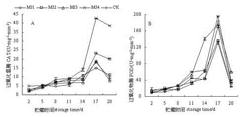 Novel method and protective film agent for preventing and controlling soft rot of actinidia and preparation method for protective film agent