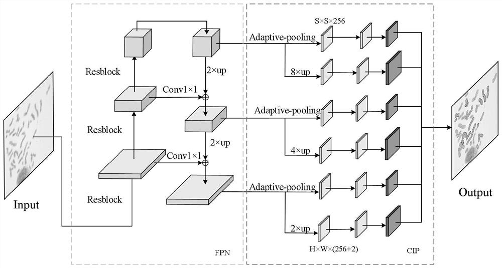 Cross chromosome image instance segmentation method based on chromosome trisection feature point positioning