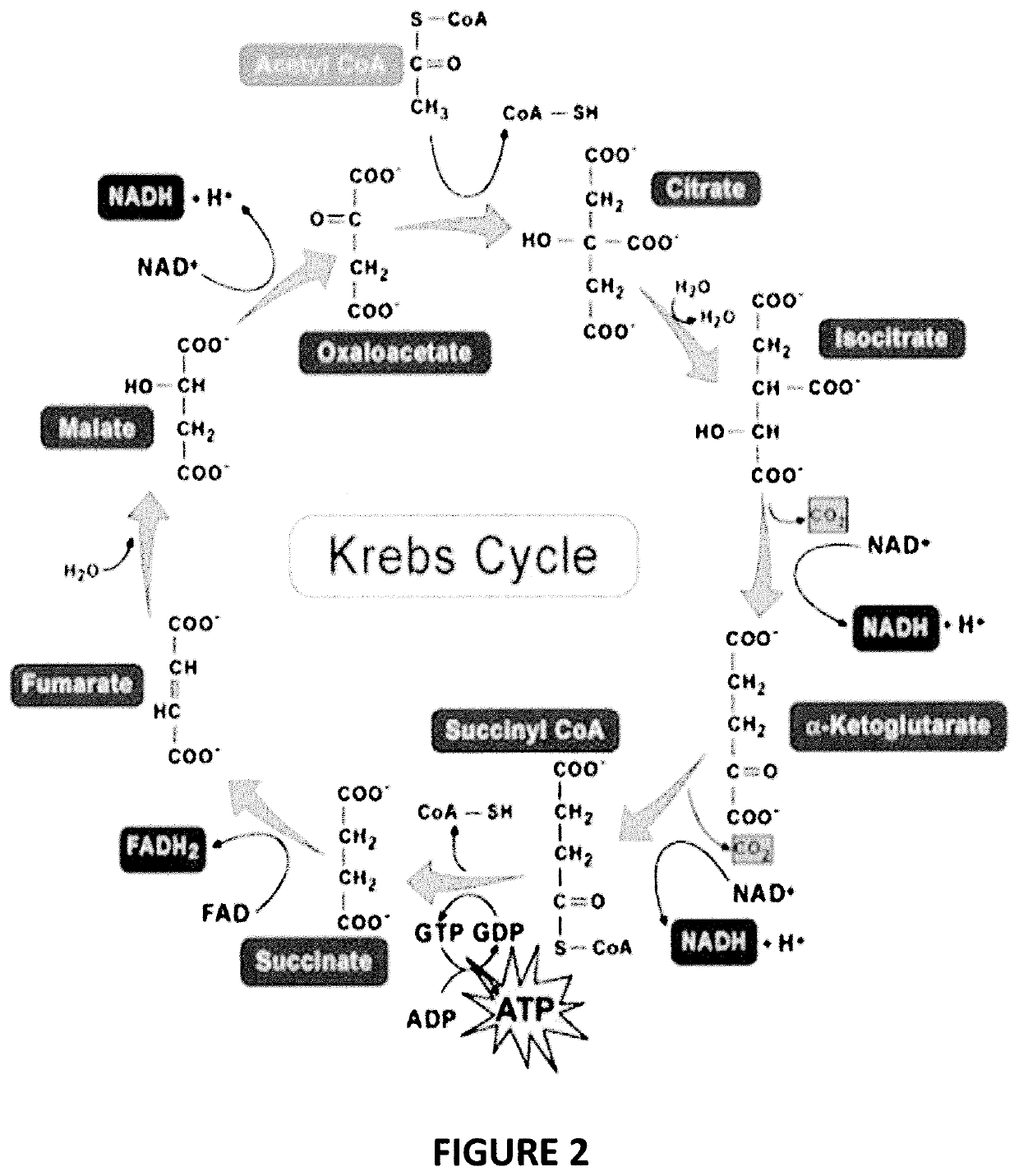 Bioavailable minerals for the mitigation of pathogens in animals, a manufacturing method and a treatment method