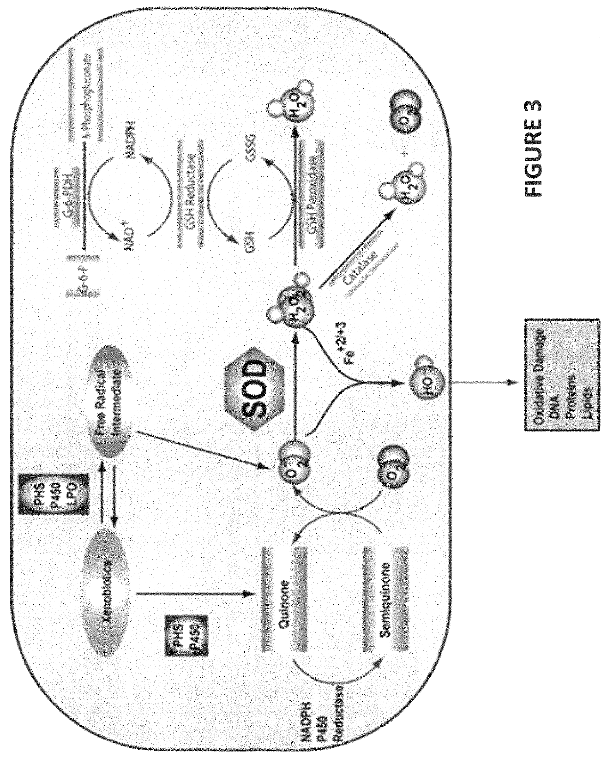 Bioavailable minerals for the mitigation of pathogens in animals, a manufacturing method and a treatment method