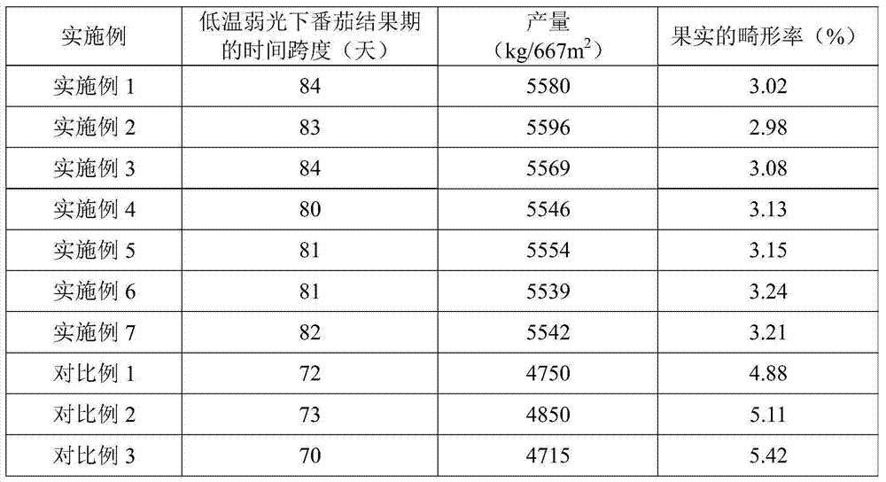 Tomato plant culturing method