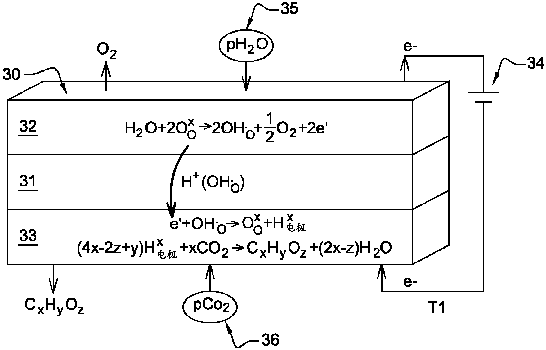 Method for generating hydrogen and oxygen by steam electrolysis