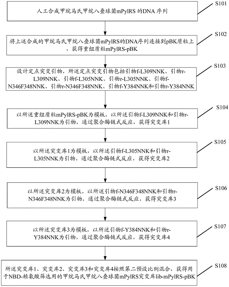 Preparation method of red fluorescent antibody resisting HBeAg (hepatitis B virus e antigen)