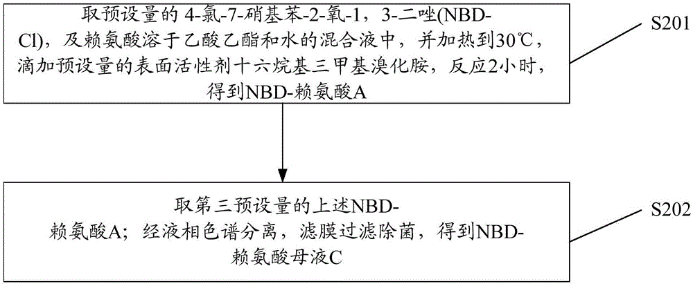 Preparation method of red fluorescent antibody resisting HBeAg (hepatitis B virus e antigen)