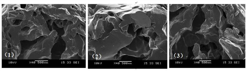 A Bletilla striata polysaccharide-carboxymethyl chitosan composite hydrogel and its preparation