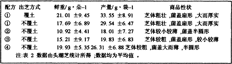 Method for culturing lucid ganoderma by utilizing Chinese chestnut bud husk and waste branch