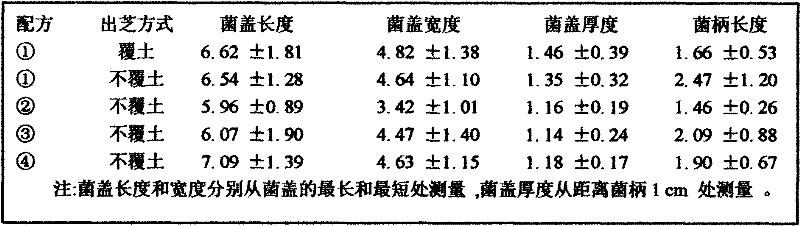 Method for culturing lucid ganoderma by utilizing Chinese chestnut bud husk and waste branch