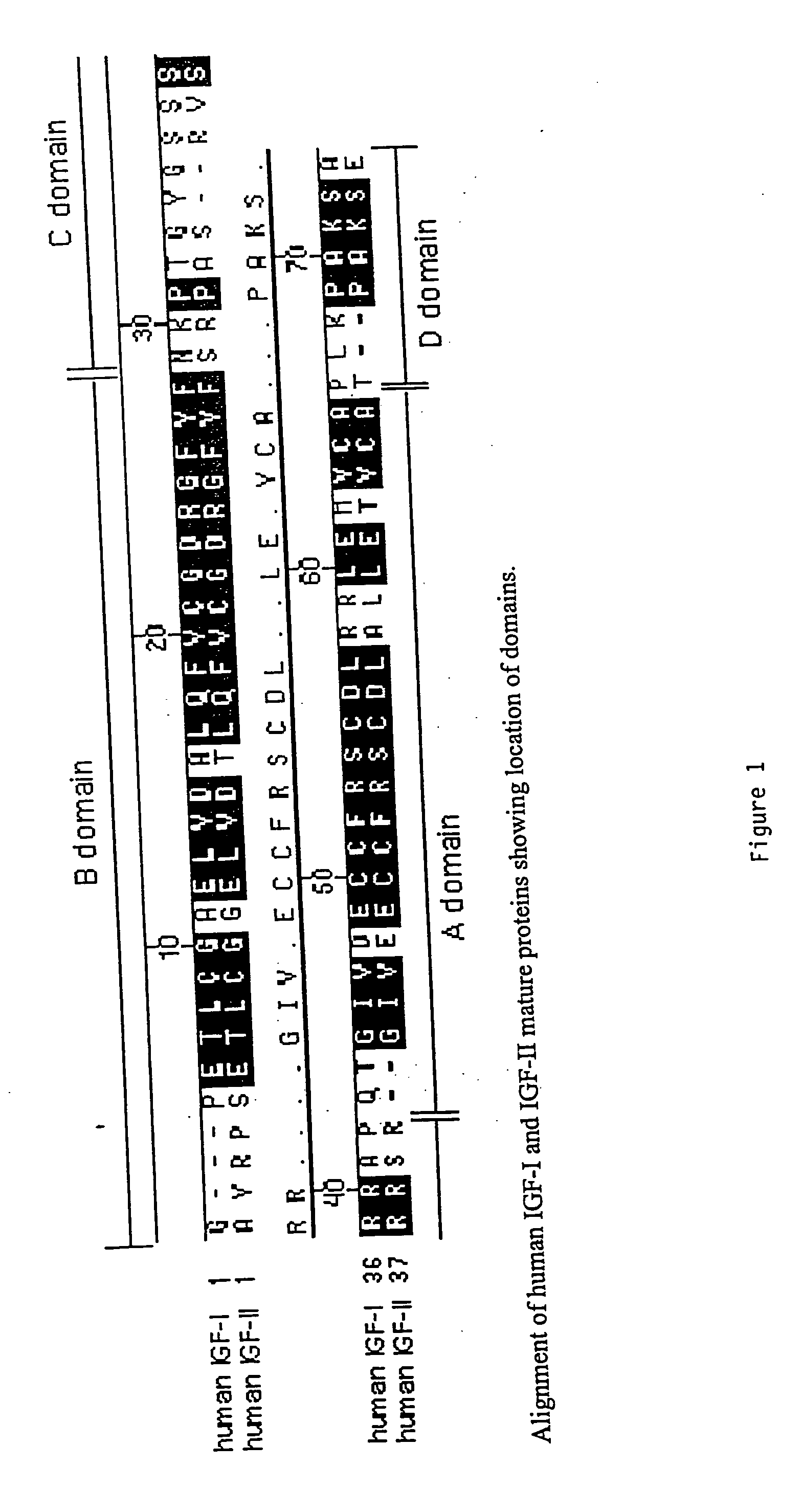 Methods and compositions for targeting proteins across the blood brain barrier