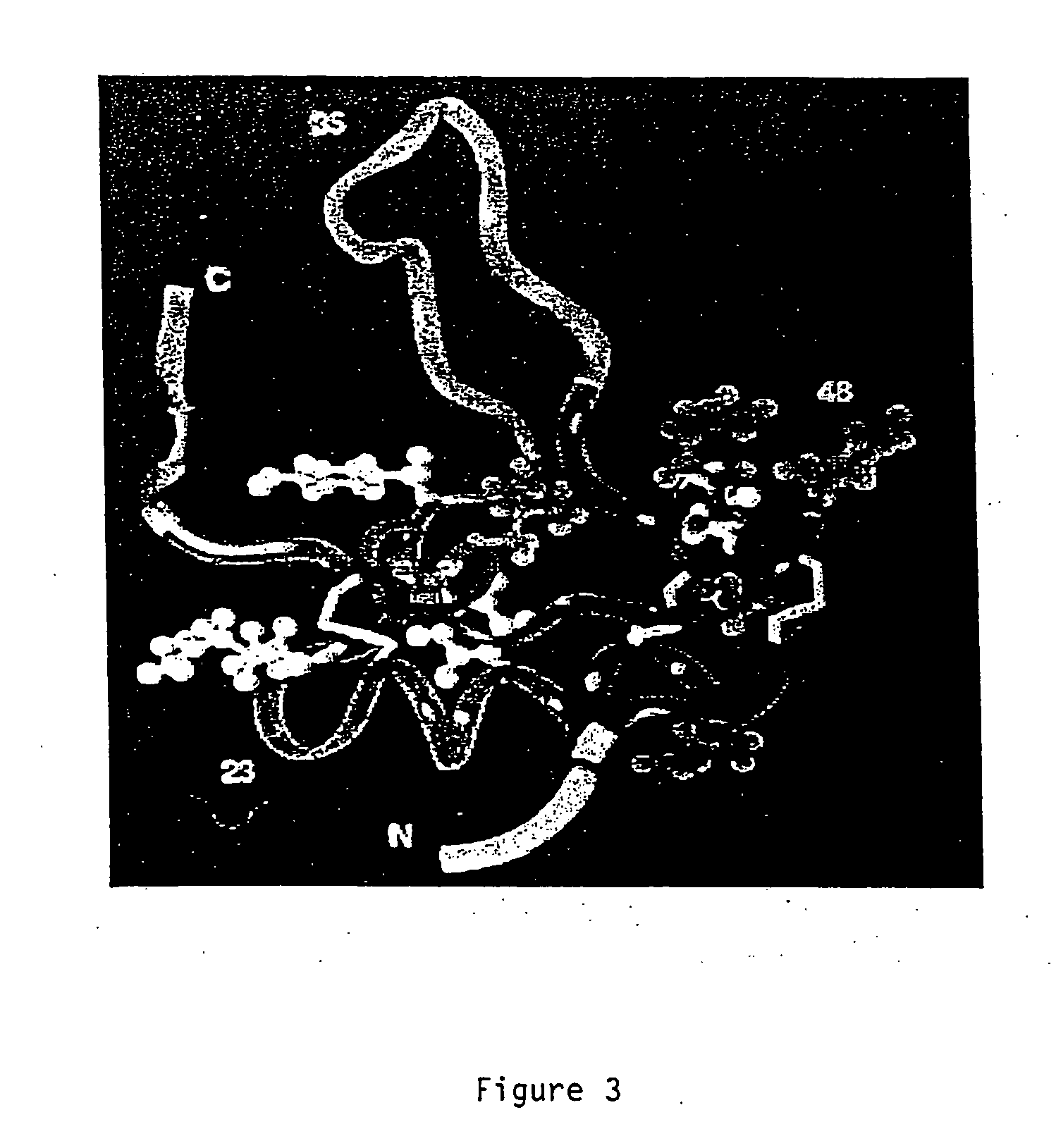 Methods and compositions for targeting proteins across the blood brain barrier