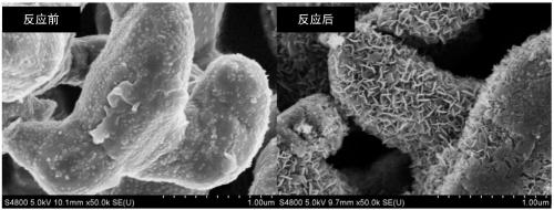 Method for producing long-chain alkane through hydrothermal reduction of carbon dioxide by utilizing iron powder and cobalt powder