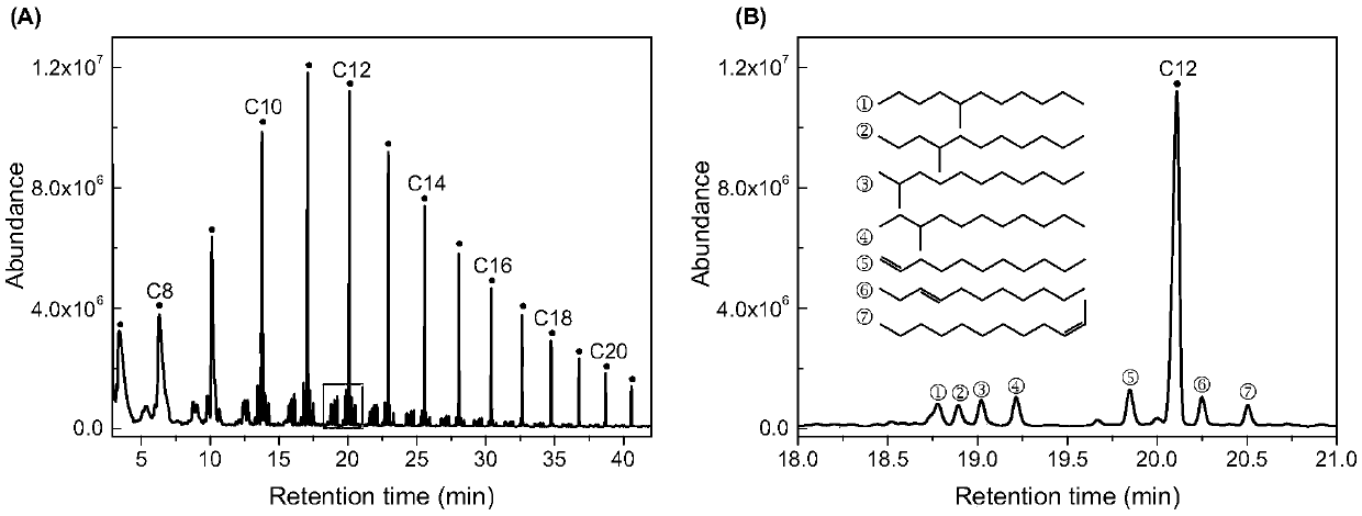 Method for producing long-chain alkane through hydrothermal reduction of carbon dioxide by utilizing iron powder and cobalt powder