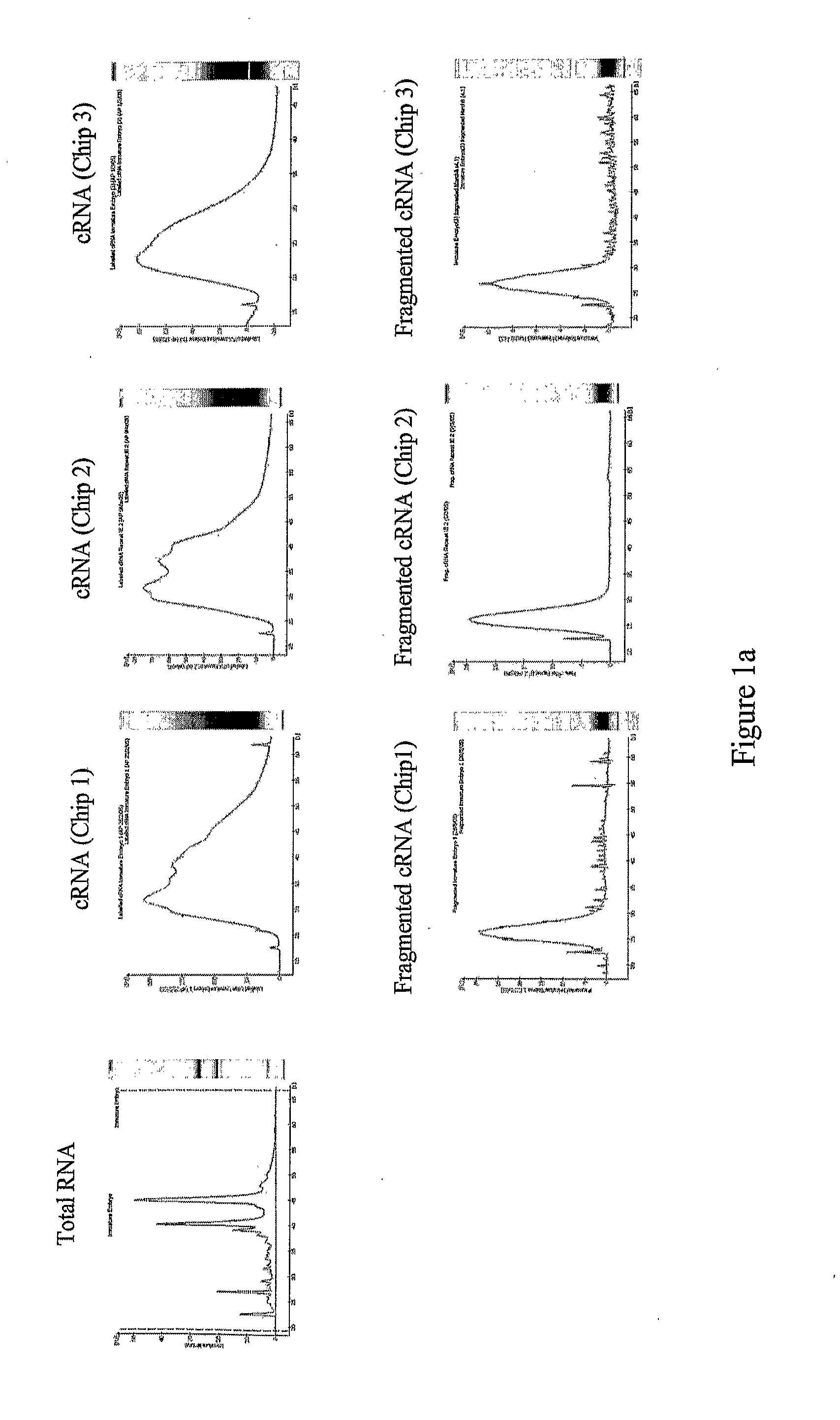 Plant Promoter Operable in Endosperm and Uses Thereof