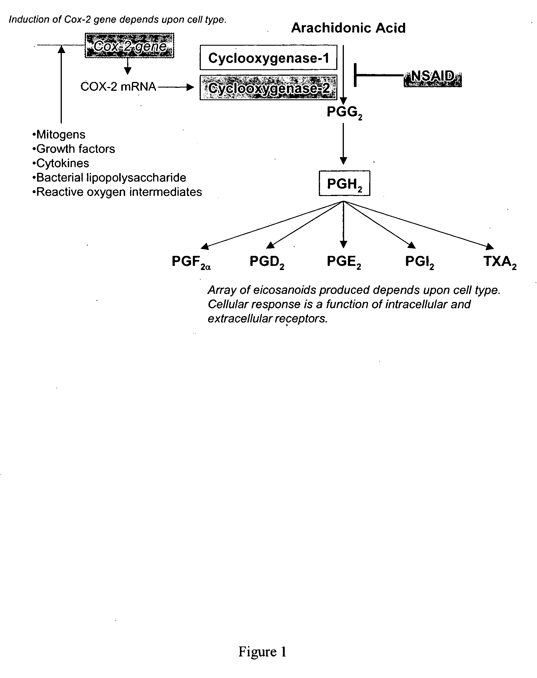 Anti-inflammatory pharmaceutical compositions for reducing inflammation and the treatment of prevention of gastric toxicity