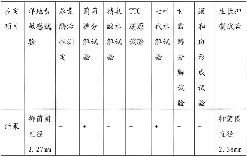 Novel mycoplasma hyopneumoniae strain and its vaccine composition