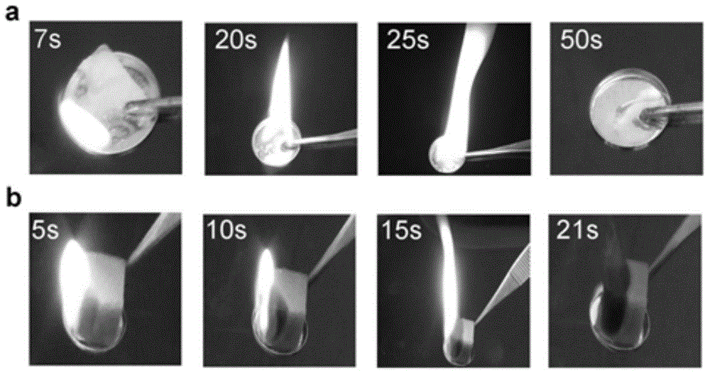 Preparation method of extrusion resistant, fire preventing and super hydrophobic sponge