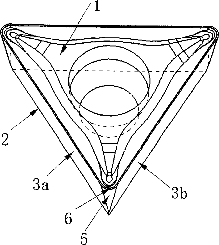 Reversible holes turning insert