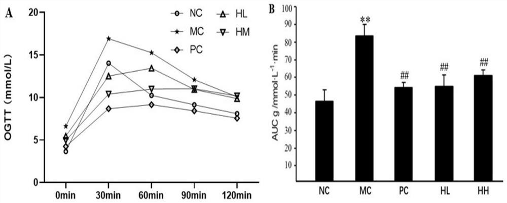 Hippocampus preparation, preparation method thereof and application of hippocampus preparation