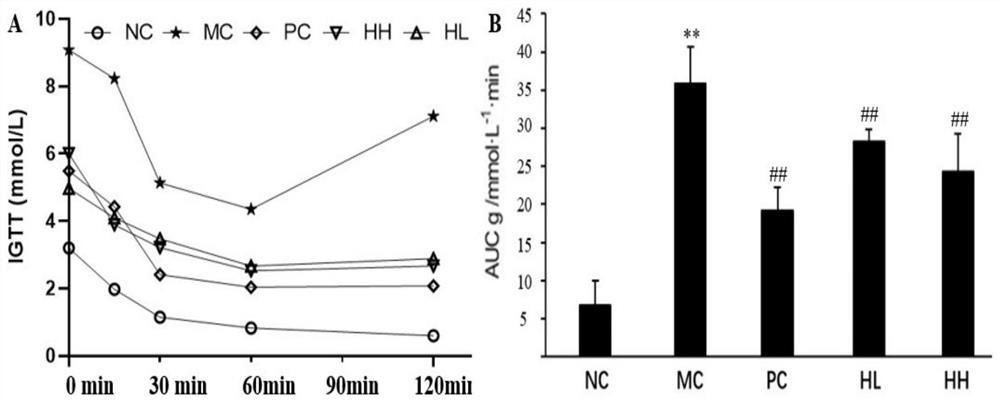 Hippocampus preparation, preparation method thereof and application of hippocampus preparation