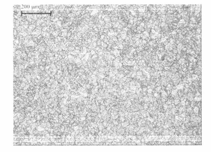 Rolling formation method of large and medium stainless steel hollow disc-shaped forge piece