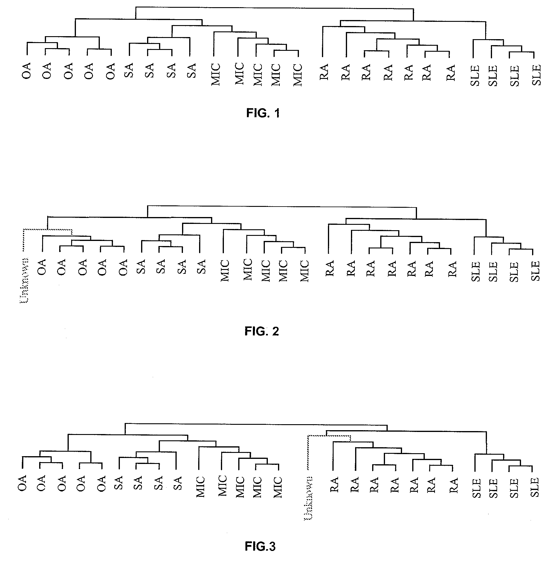 Method for the determination and the classification of rheumatic conditions