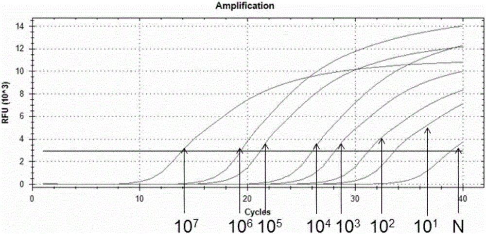 Special primers for identification or assisted identification of Propionibacterium acnes, and applications thereof